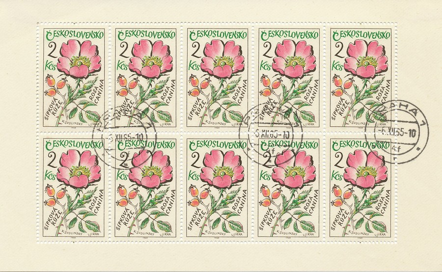 PL 1489-1495