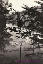 Dobříš-zámek-park