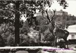 Karlovy Vary