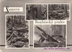 Šumava-Boubínský prales