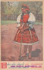 V.Plesnivý-Budeš,milá,zabývať