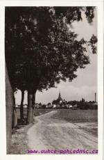 Dašice