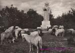 Beskydy-Radegast