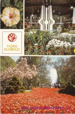 Olomouc-Flora