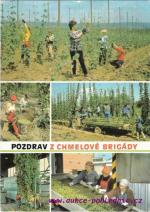 Pěstování a sklizeň chmele