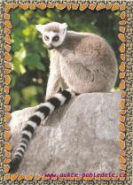 Lemur