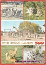 Dvůr Králové nad Labem-ZOO