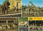 Dvůr Králové nad Labem-ZOO