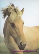 Fjordský kůň 