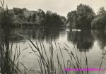 Moravec