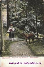 Weg zum Café Rubezahl.