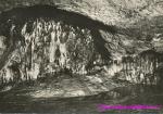 Krápníková jeskyně na Zlatém koni u Koněprus