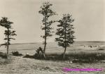 Lidice