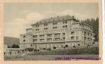 Palace hotel