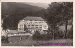 Palace hotel
