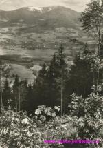 Lysá hora