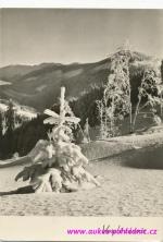 Krkonoše