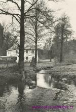 Černovice-Šindelka