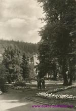 Dubí-lázeňský park