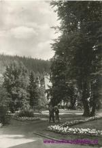 Dubí-lázeňský park