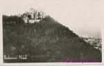 Hrad Boskovice
