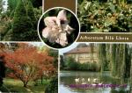 Arboretum Bílá Lhota