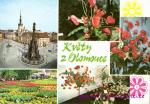 Olomouc -výstava květin