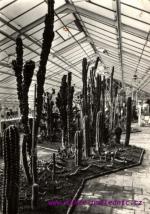 Olomouc -celostátní výstava zahradnictví