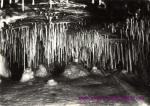Javoříčské jeskyně-jeskyně tisíců brček