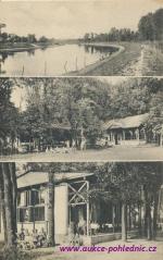 Oseček