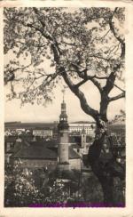 Domažlice