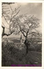 Domažlice