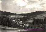 Držková