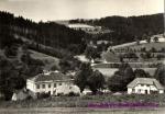 Držková