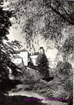 Javorník