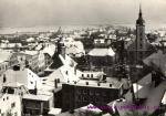 Javorník