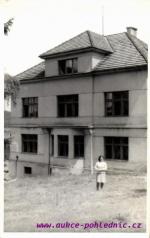 Mokřice