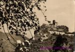 Střekov-hrad