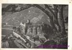 Střekov-hrad