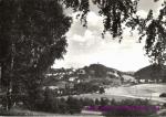 Levín