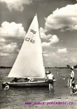 Senec