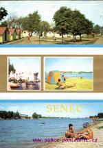 Senec