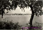 Senec
