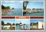 Senec