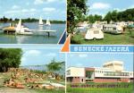 Senec