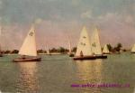 Senec