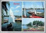 Senec