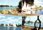 Senec