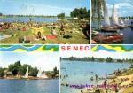 Senec
