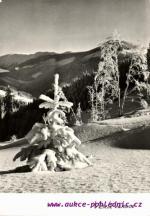 Krkonoše